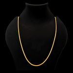 Load image into Gallery viewer, Daily Wear Lightweight Chain
